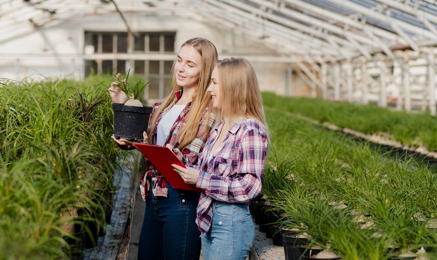 Paid Internship in Agriculture in Denmark